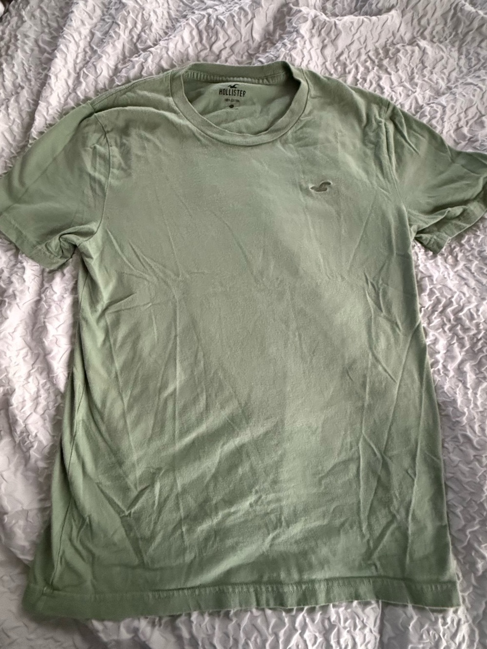 Hollister Men’s Short Sleeve Crew T‑Shirt in Sage Green